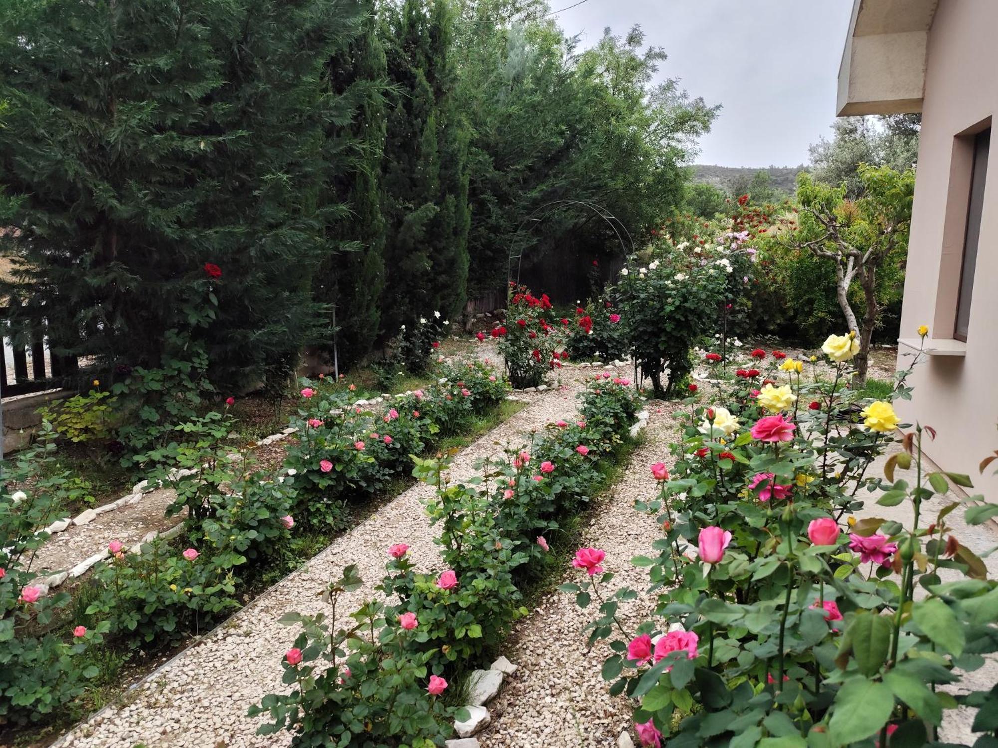 Roses Villa Trimiklini Екстер'єр фото