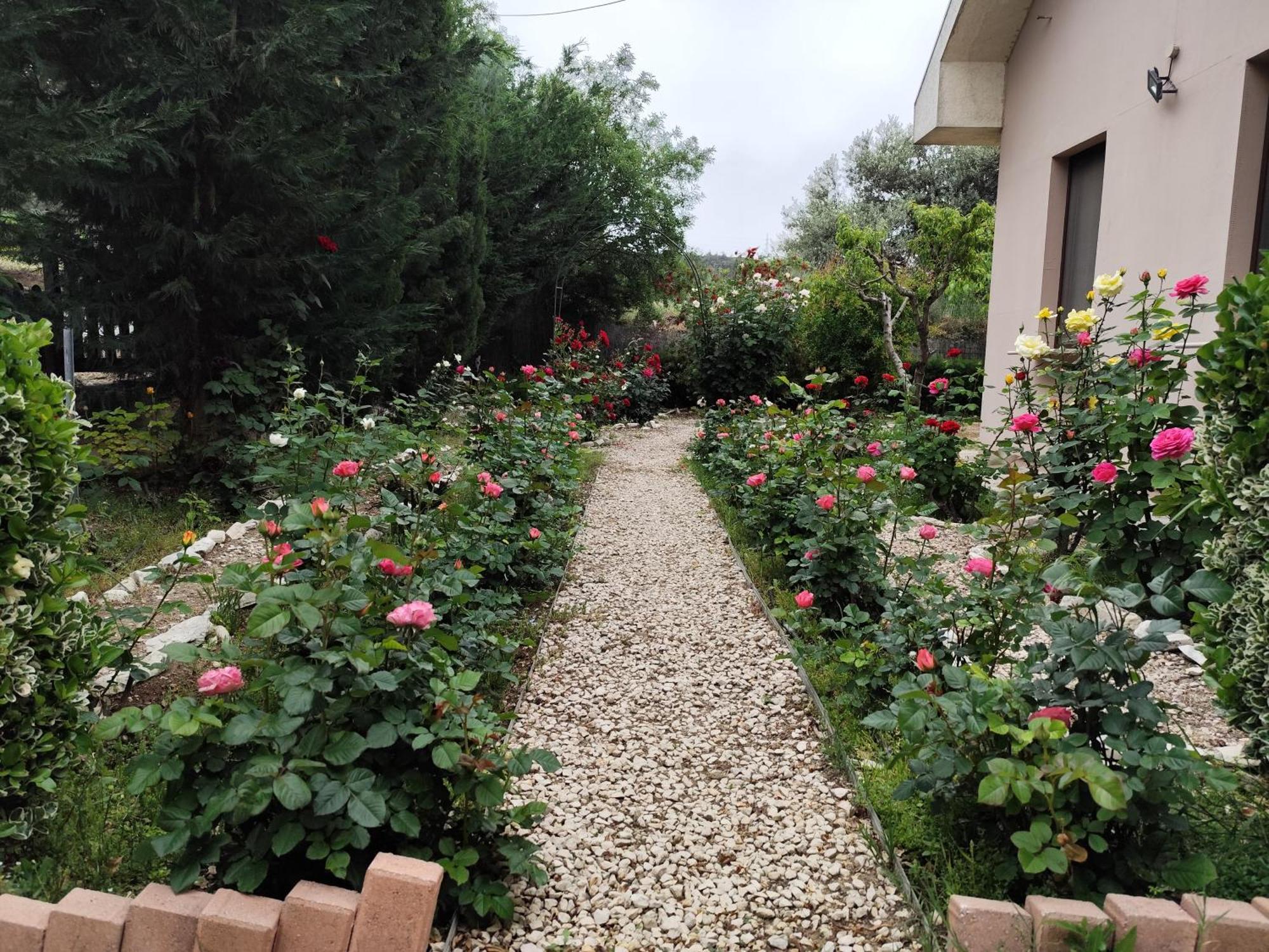 Roses Villa Trimiklini Екстер'єр фото
